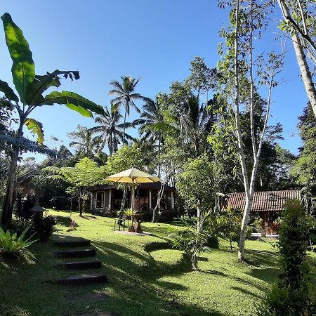 Tegal Jero Homestay Jatiluwih Exterior foto