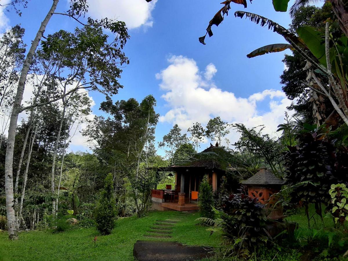 Tegal Jero Homestay Jatiluwih Exterior foto